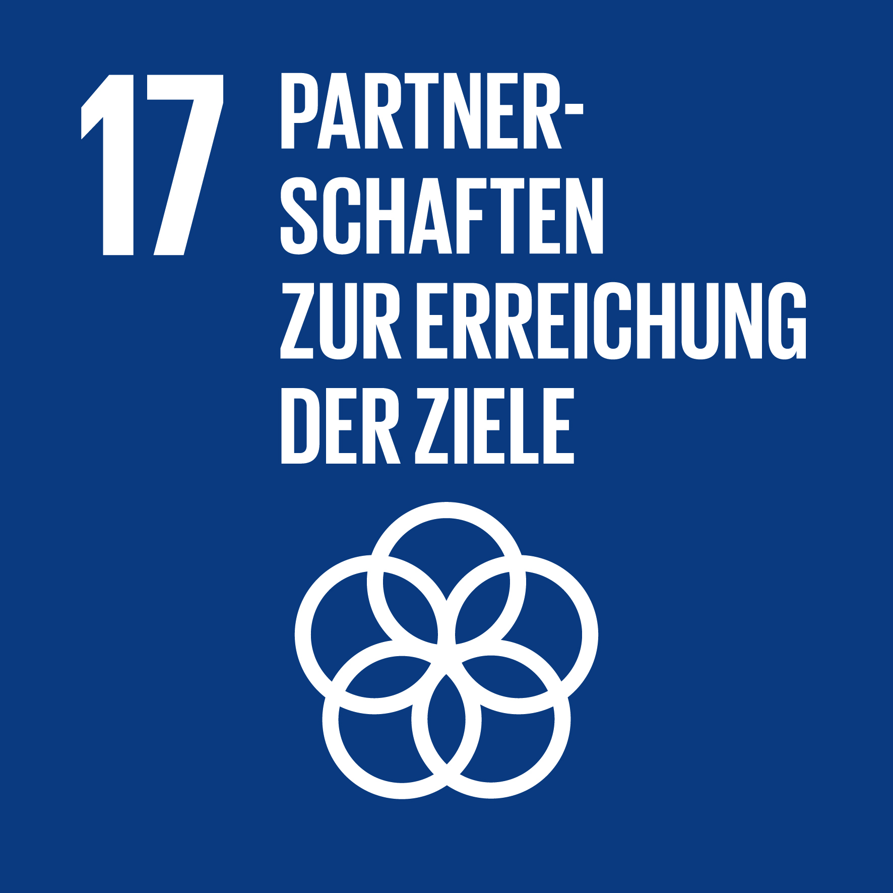 SGD - Partnerschaften zur Erreichung der Ziele